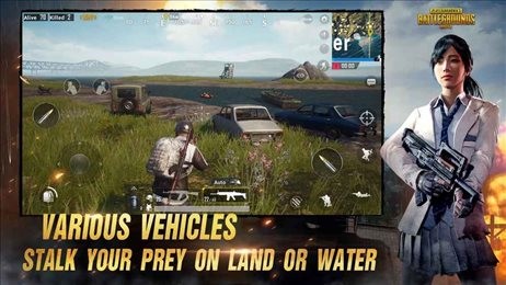 pubg mobile亚服