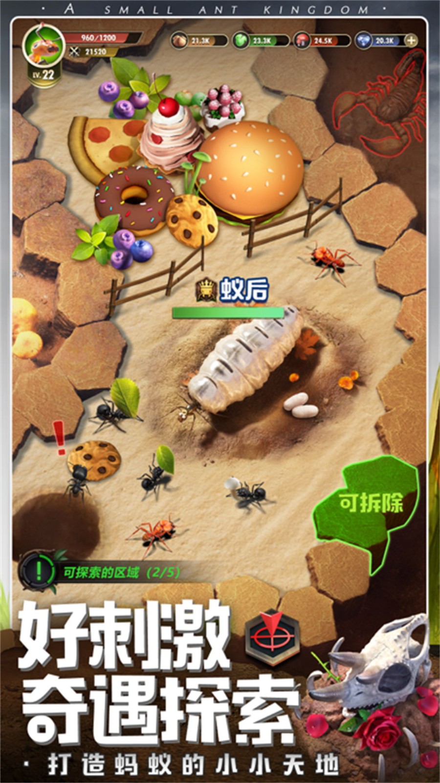 昆虫星球最新版
